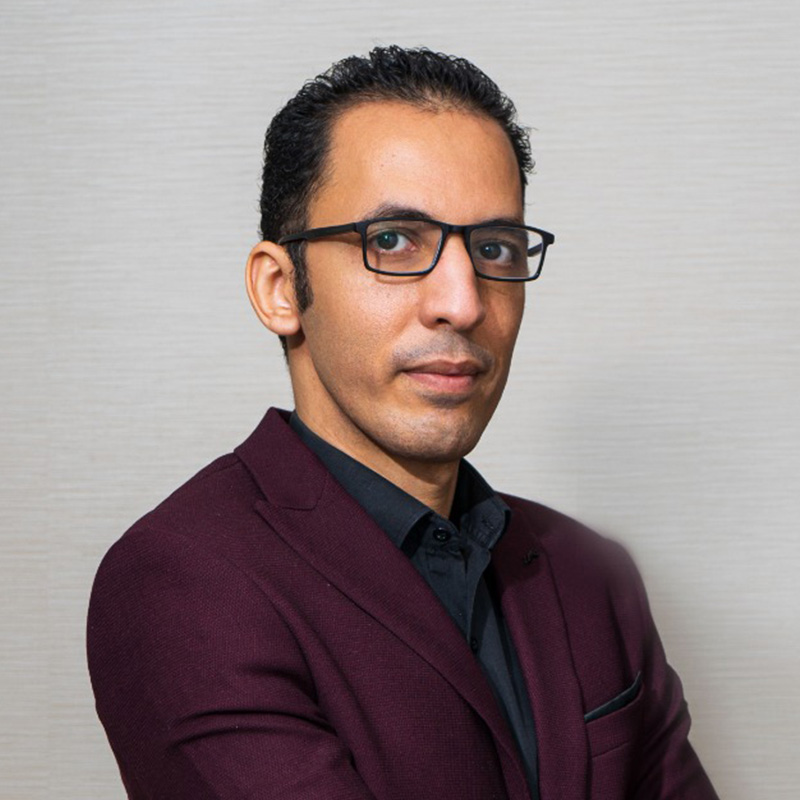 Mr. Ahmed Abdel Sammed