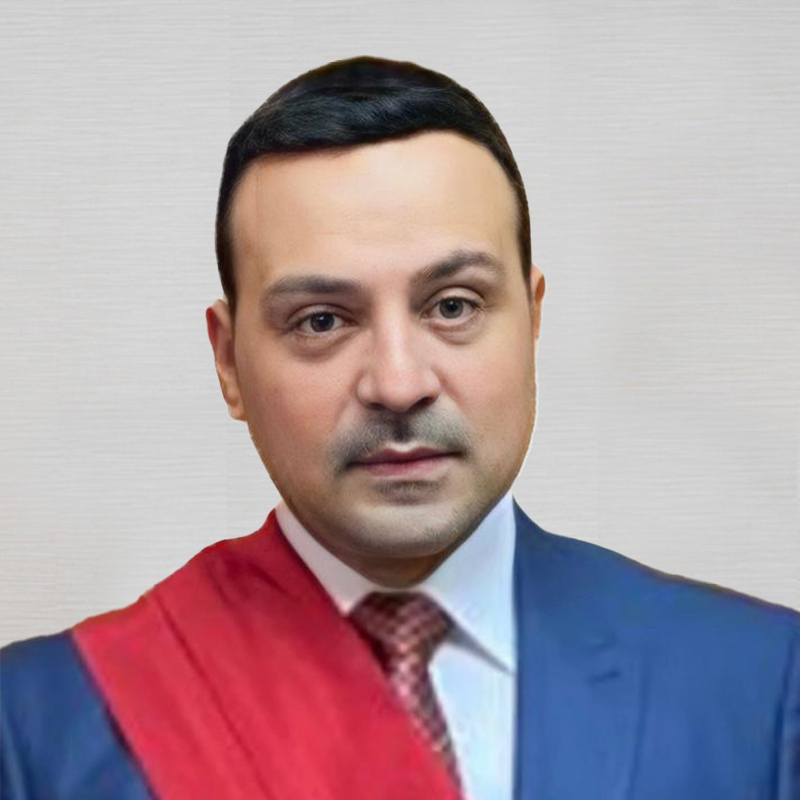 Mr. Mahmoud Abdelaziz Salem 